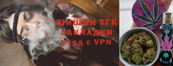 твердый Пересвет
