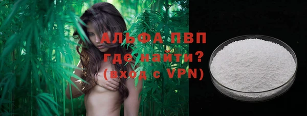 твердый Пересвет