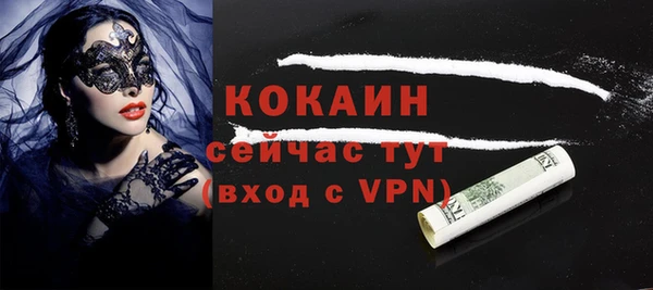 индика Пестово