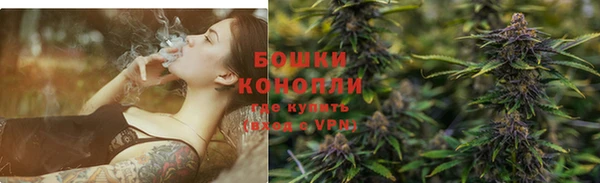 индика Пестово