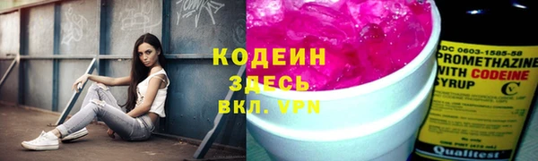 твердый Пересвет