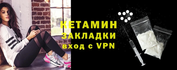 индика Пестово