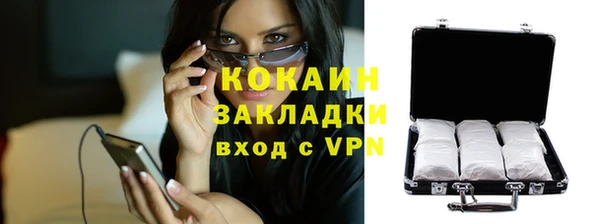 индика Пестово