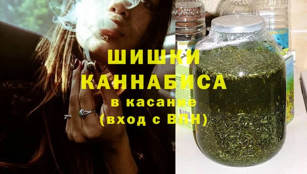 индика Пестово