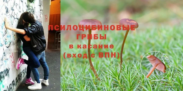 индика Пестово