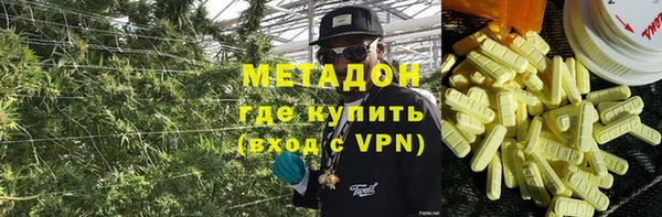 индика Пестово