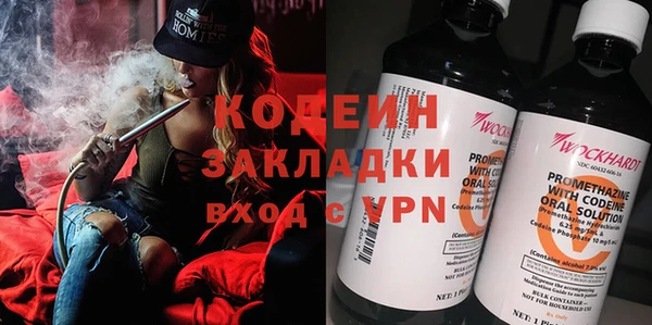 индика Пестово