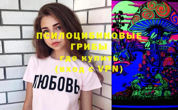 твердый Пересвет