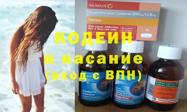 индика Пестово