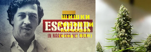 индика Пестово