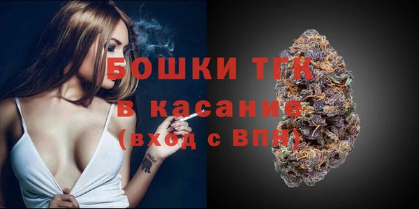 твердый Пересвет